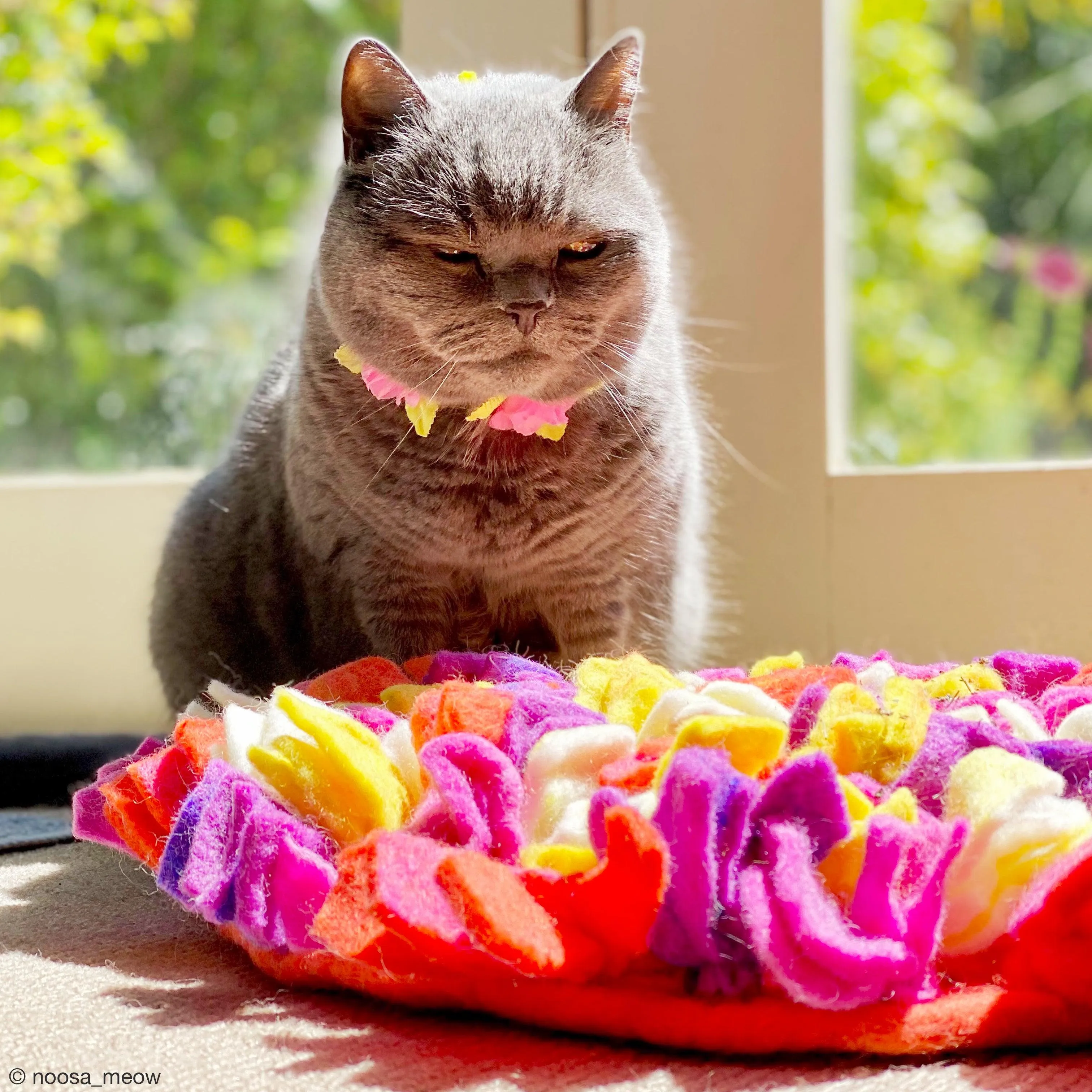 Cat Snuffle Mat - Multicolour