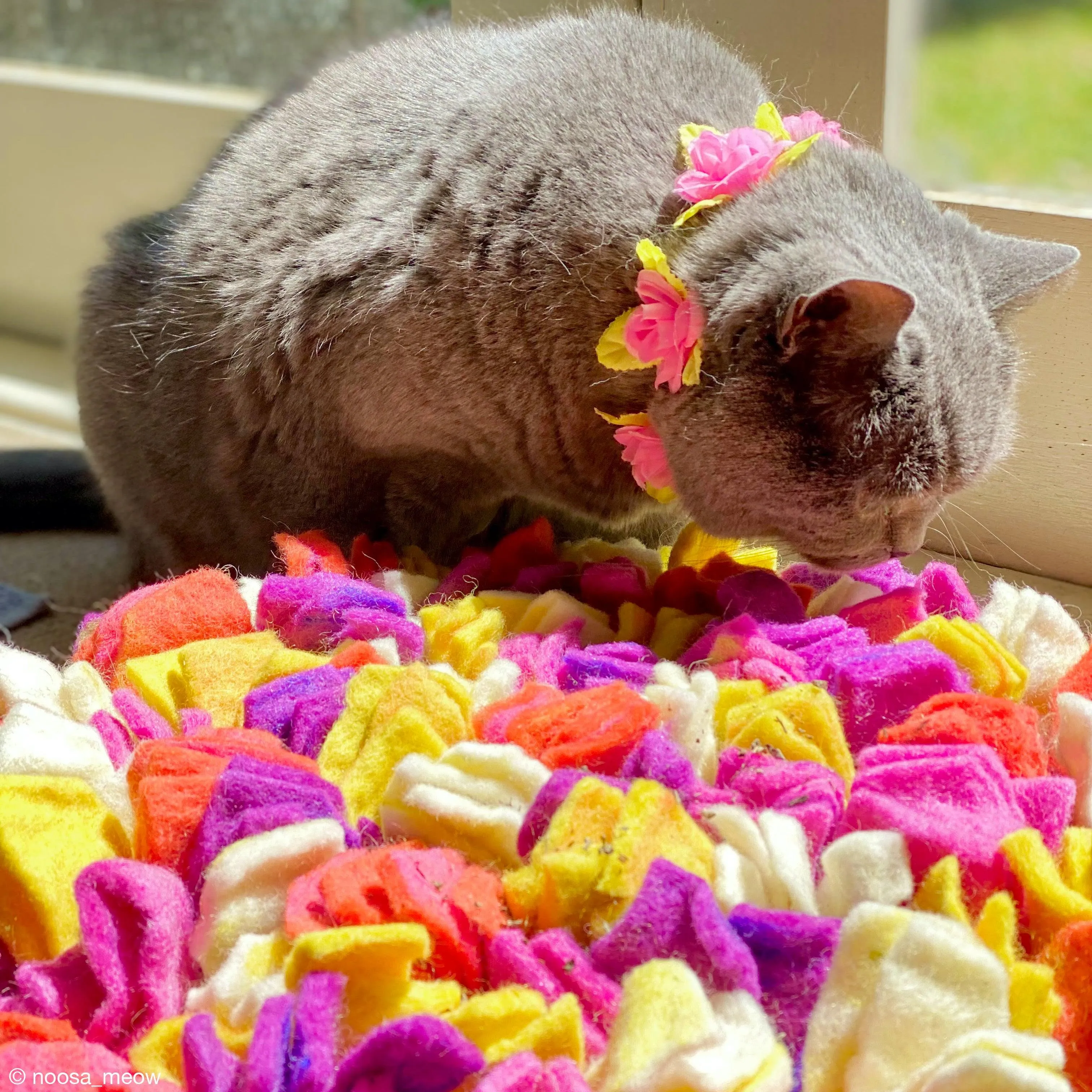 Cat Snuffle Mat - Multicolour