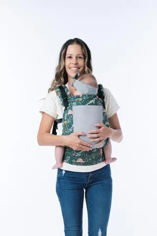 Coast Land Before Tula Toddler Carrier