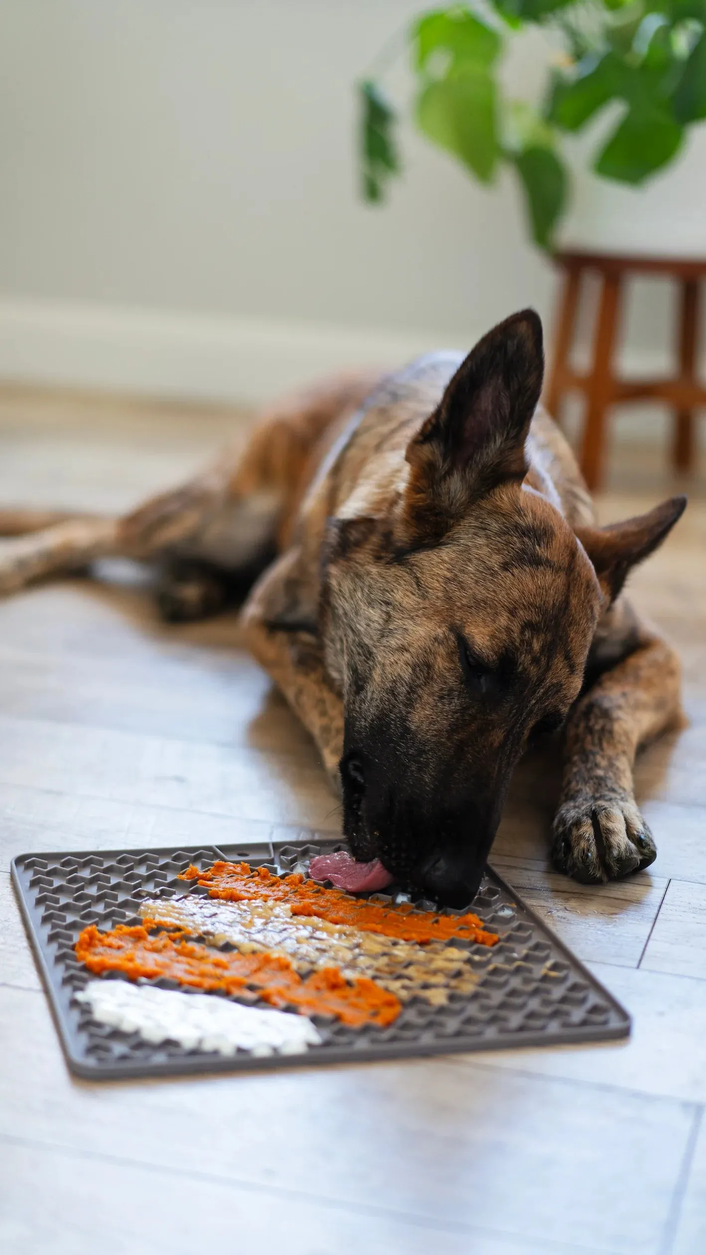 Silicone Therapeutic Dog Licking Mat, Large